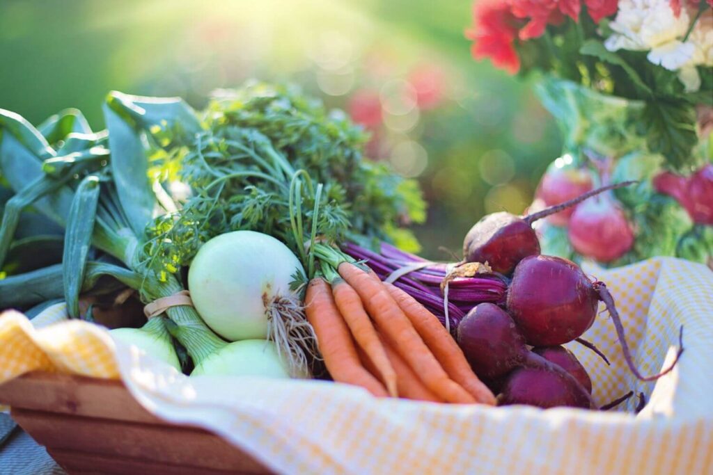 How to maintain a healthy lifestyle